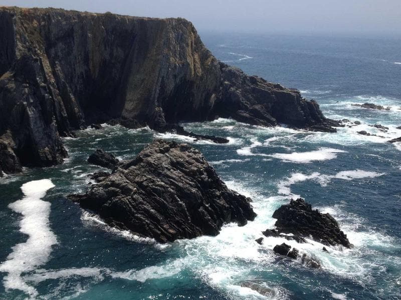 AI Chatbots: Revolutionizing Customer Support in Chennai