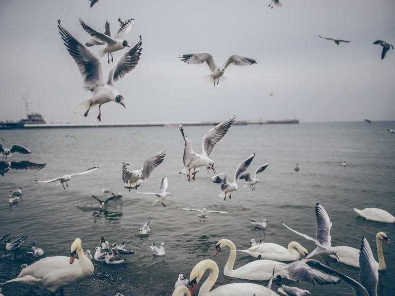 The Future of Healthcare in Chennai Powered by AI Automation